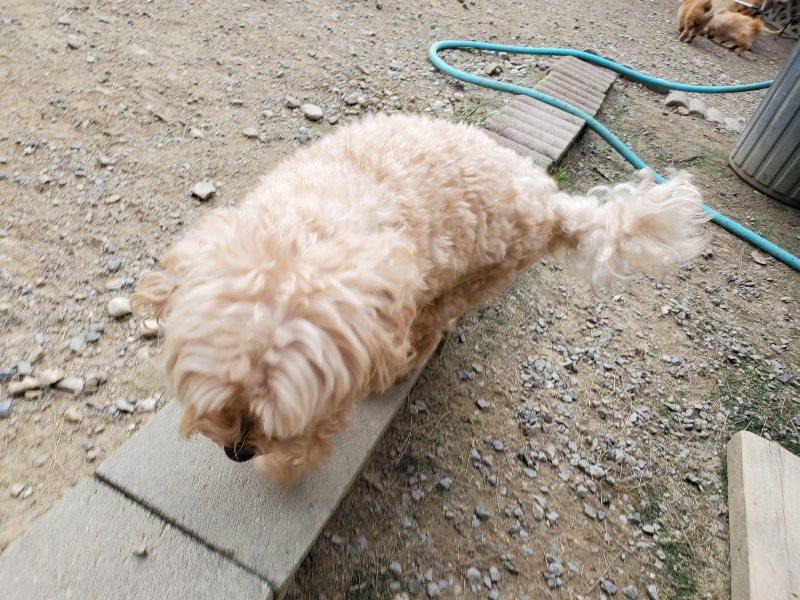 f:id:roukenhome-ann:20190930144155j:plain