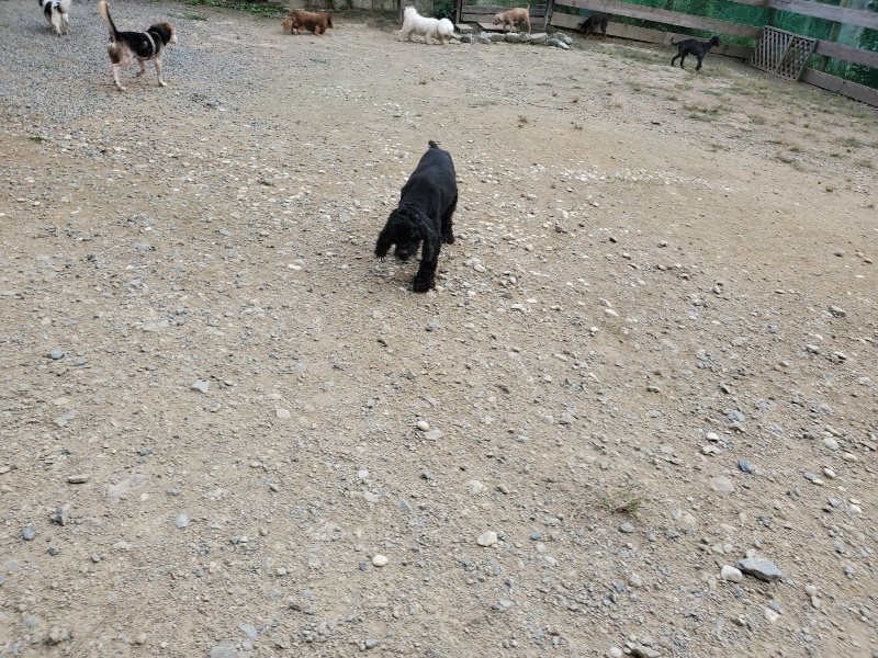f:id:roukenhome-ann:20190930144210j:plain