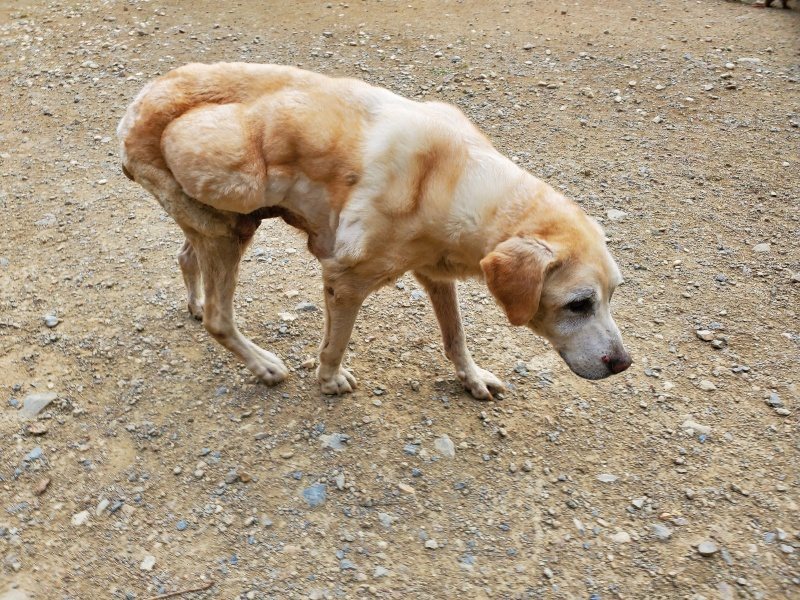 f:id:roukenhome-ann:20190930144334j:plain