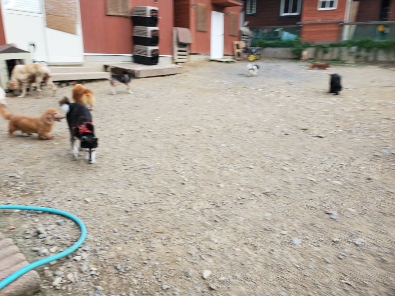 f:id:roukenhome-ann:20190930144345j:plain