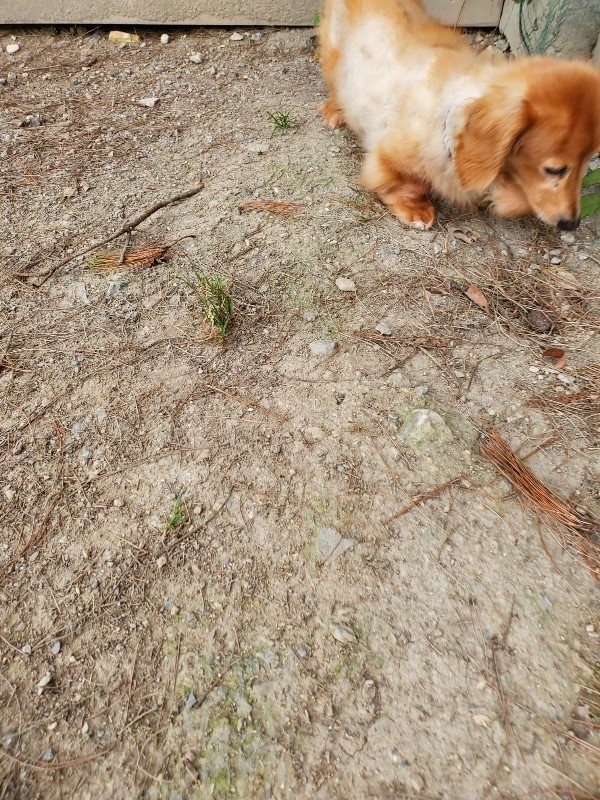 f:id:roukenhome-ann:20190930144351j:plain