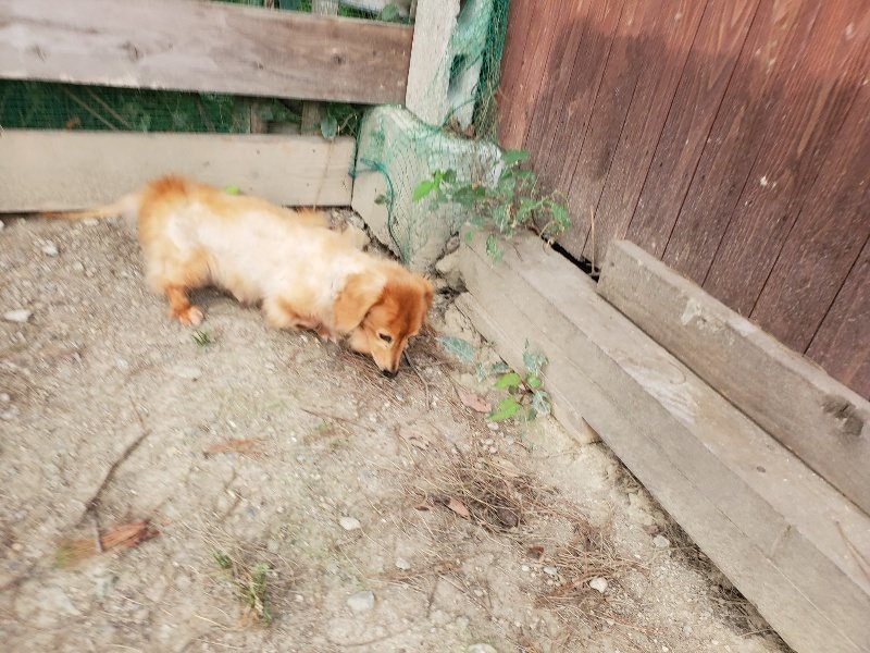 f:id:roukenhome-ann:20190930144356j:plain
