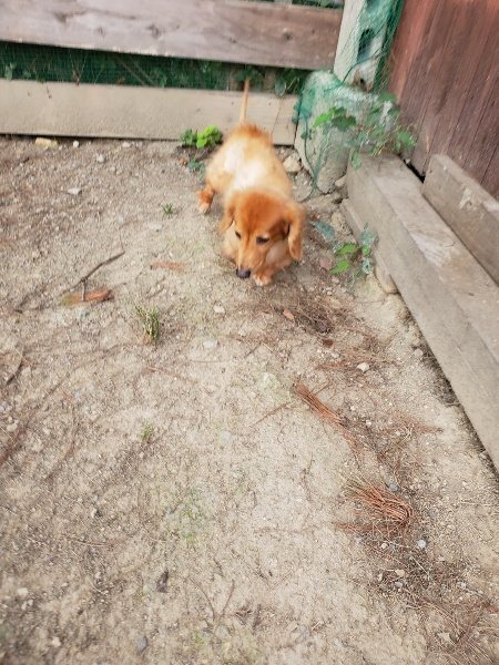 f:id:roukenhome-ann:20190930144402j:plain
