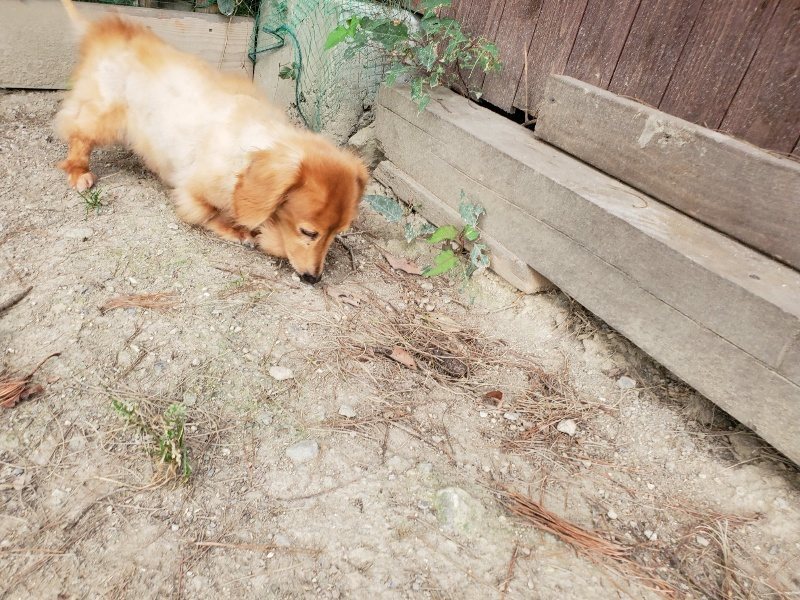 f:id:roukenhome-ann:20190930144409j:plain