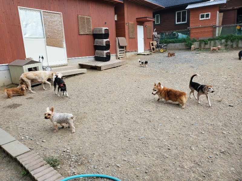 f:id:roukenhome-ann:20190930144420j:plain