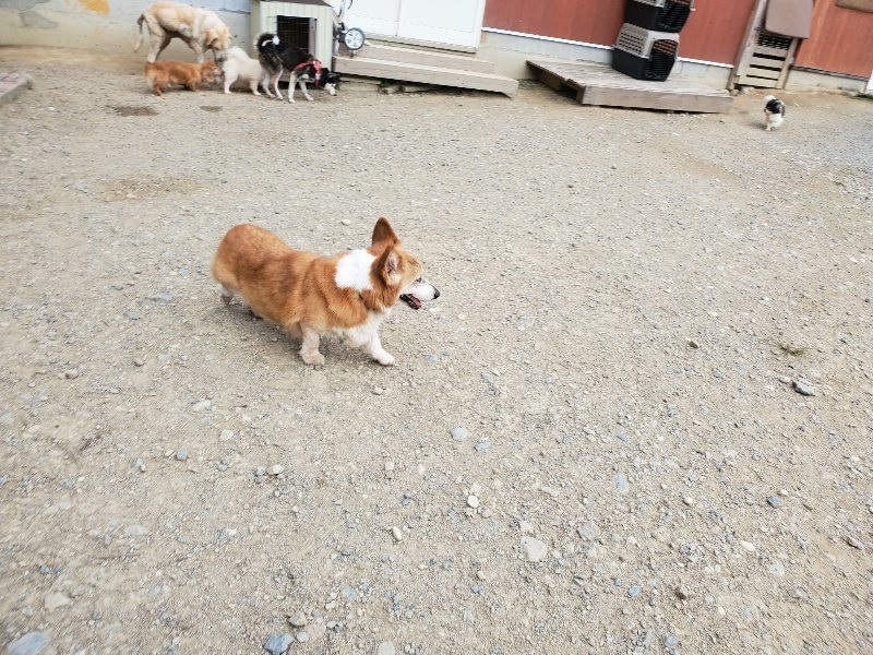 f:id:roukenhome-ann:20190930144427j:plain