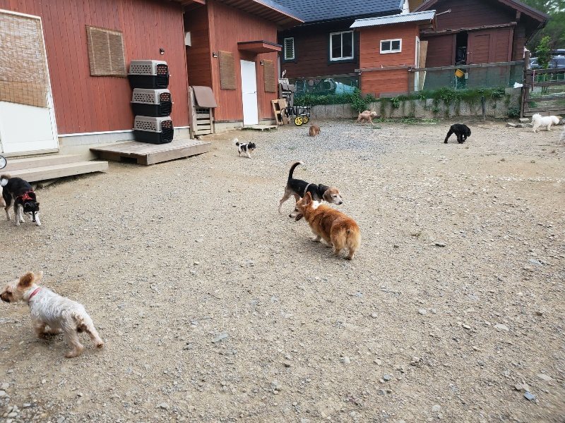 f:id:roukenhome-ann:20190930144434j:plain