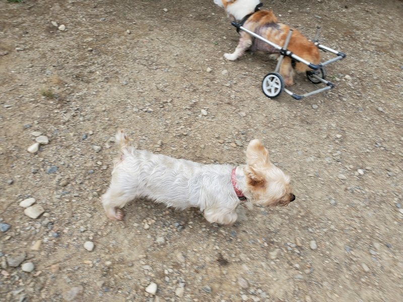 f:id:roukenhome-ann:20190930144446j:plain