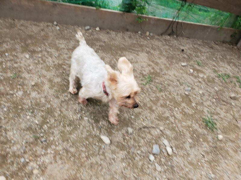 f:id:roukenhome-ann:20190930144451j:plain
