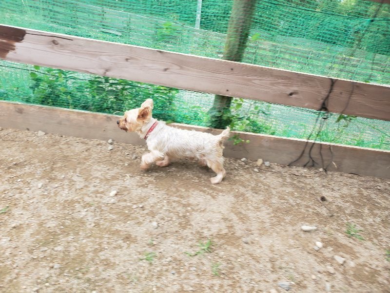 f:id:roukenhome-ann:20190930144457j:plain
