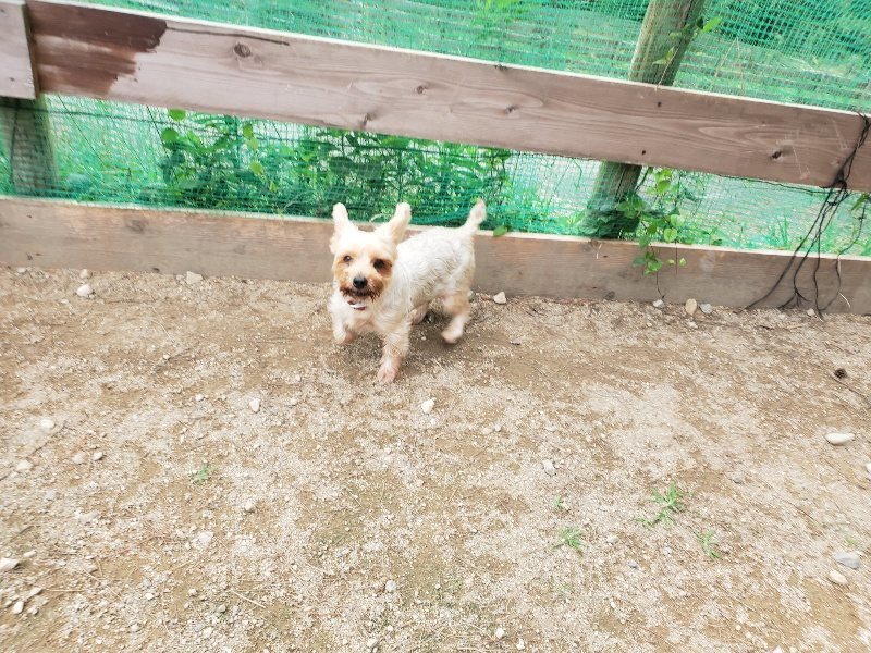 f:id:roukenhome-ann:20190930144503j:plain