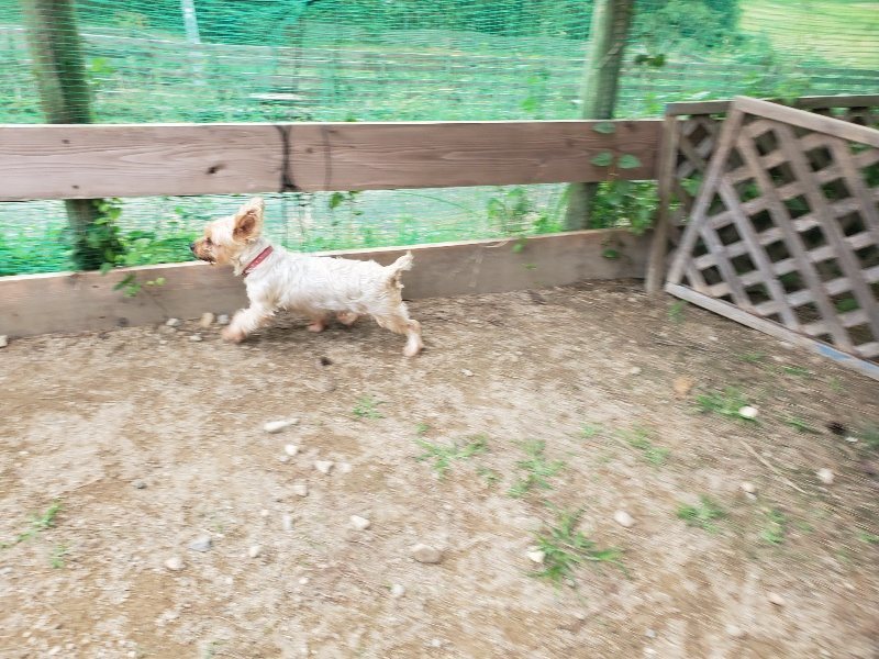 f:id:roukenhome-ann:20190930144509j:plain