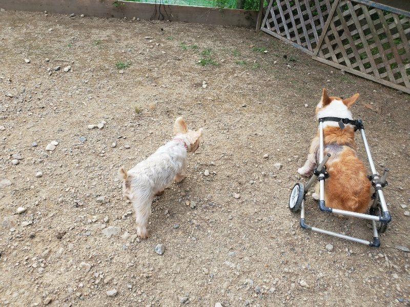 f:id:roukenhome-ann:20190930144516j:plain