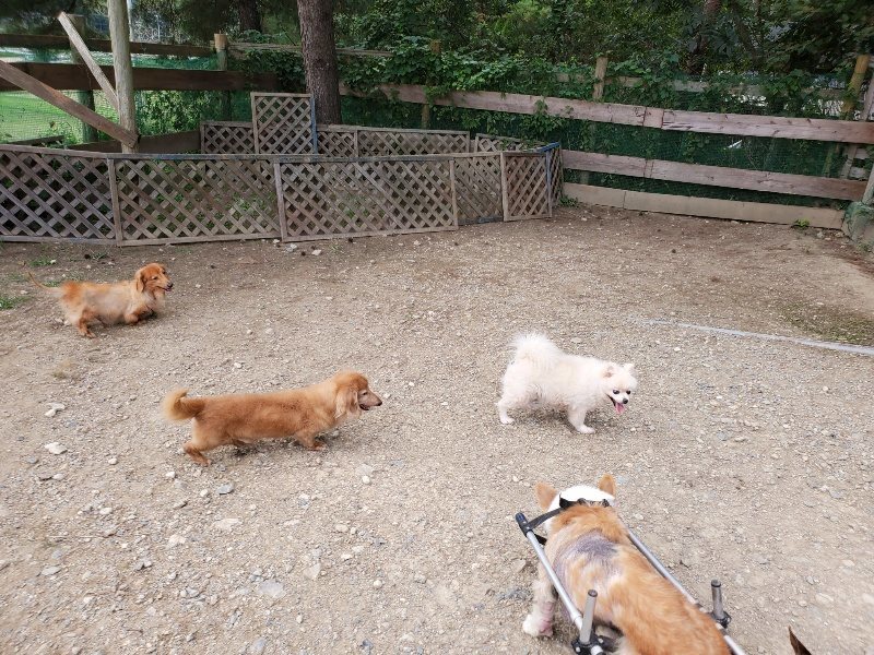 f:id:roukenhome-ann:20190930144522j:plain