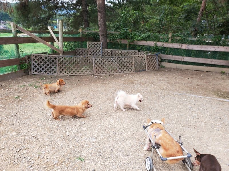 f:id:roukenhome-ann:20190930144529j:plain
