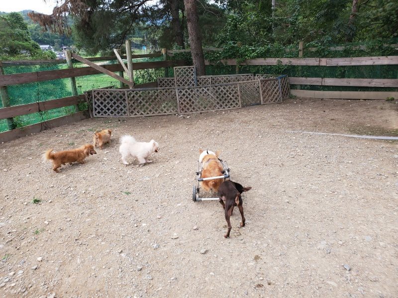 f:id:roukenhome-ann:20190930144542j:plain