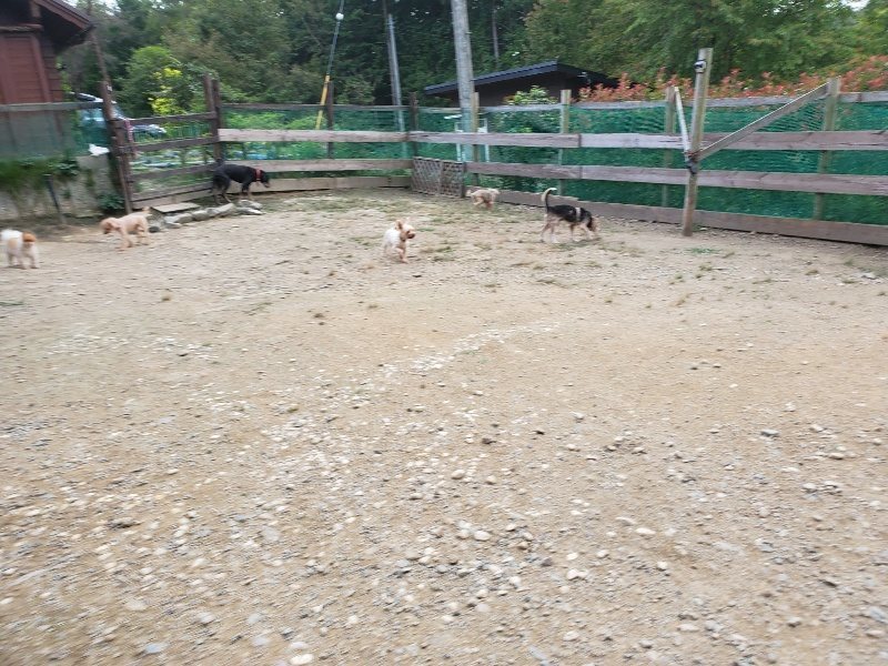 f:id:roukenhome-ann:20190930144547j:plain
