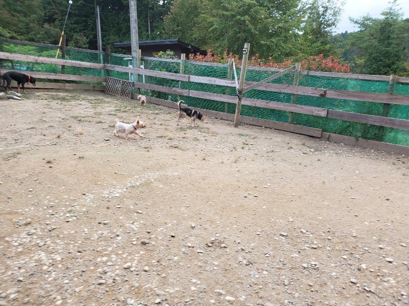 f:id:roukenhome-ann:20190930144553j:plain