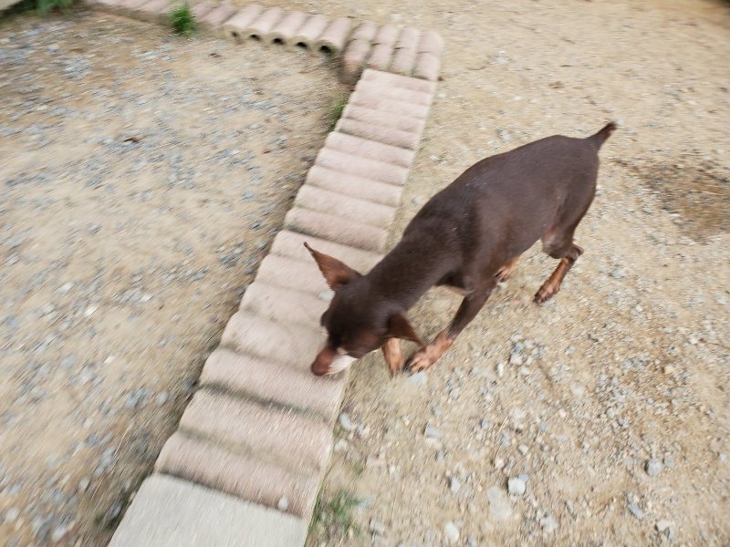 f:id:roukenhome-ann:20190930144605j:plain