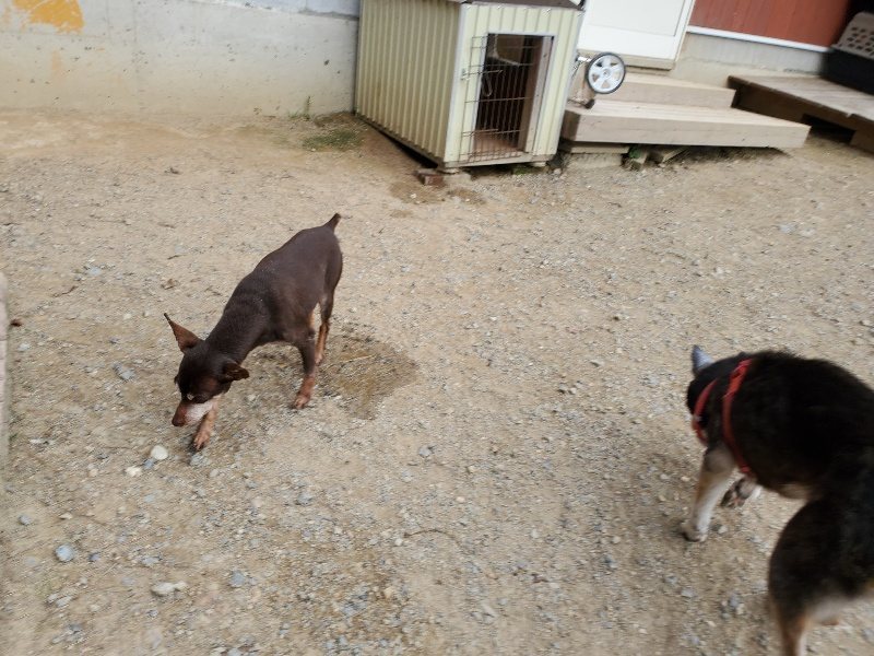 f:id:roukenhome-ann:20190930144617j:plain