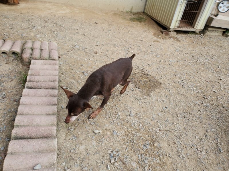 f:id:roukenhome-ann:20190930144622j:plain
