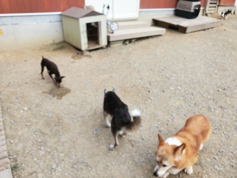 f:id:roukenhome-ann:20190930144626j:plain