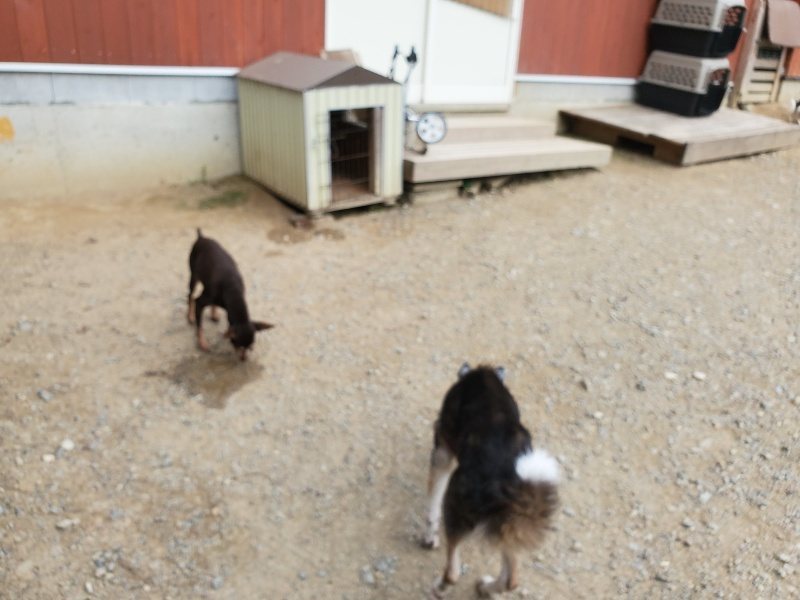 f:id:roukenhome-ann:20190930144634j:plain