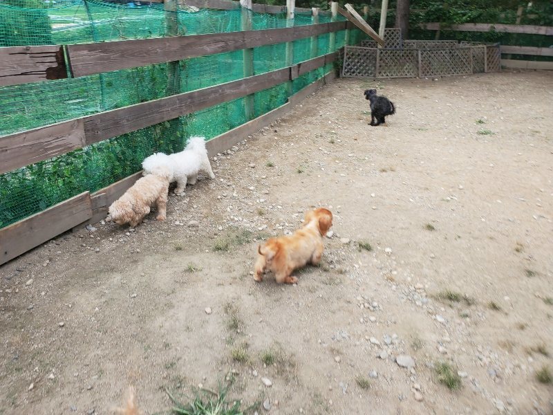 f:id:roukenhome-ann:20190930144717j:plain