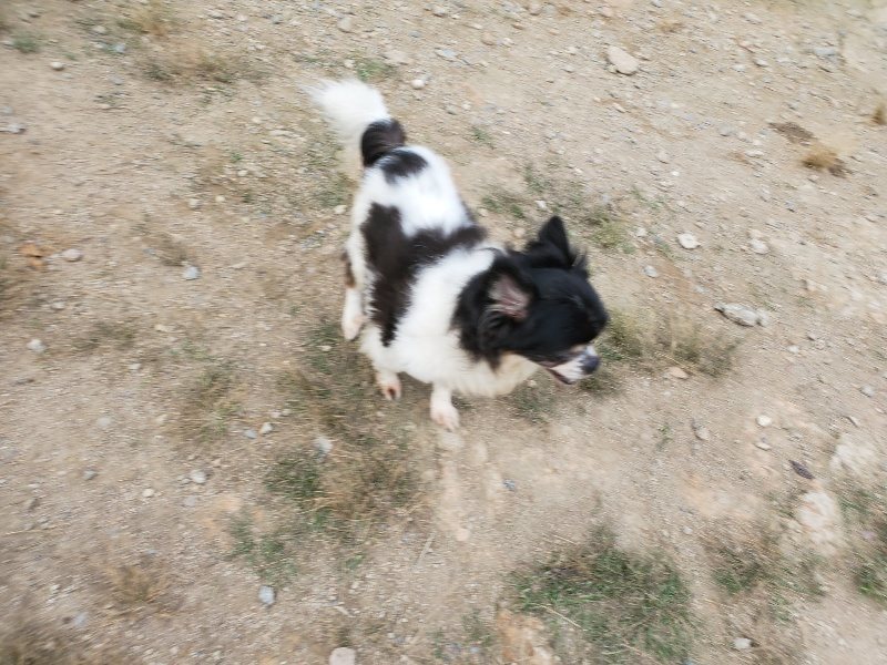 f:id:roukenhome-ann:20190930144722j:plain