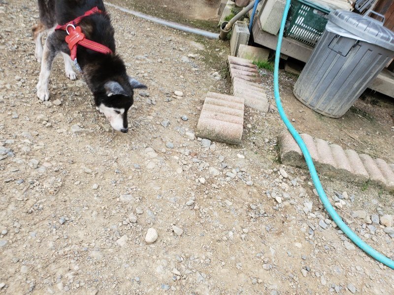 f:id:roukenhome-ann:20190930144858j:plain