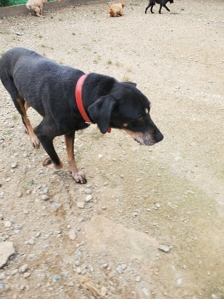 f:id:roukenhome-ann:20190930144919j:plain