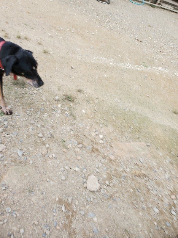 f:id:roukenhome-ann:20190930144927j:plain