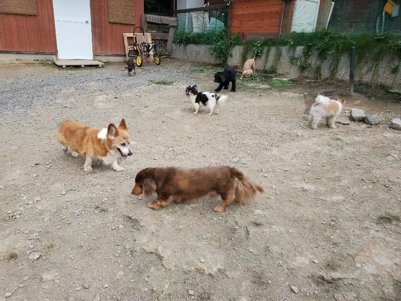 f:id:roukenhome-ann:20190930144941j:plain