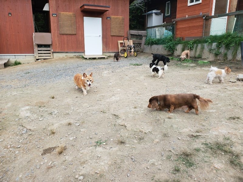 f:id:roukenhome-ann:20190930144948j:plain