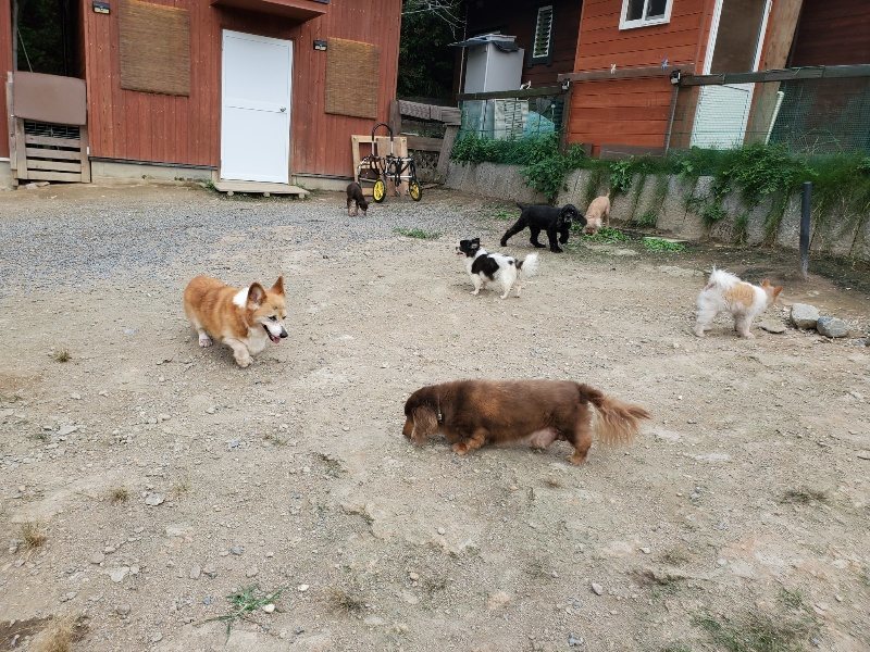 f:id:roukenhome-ann:20190930144954j:plain