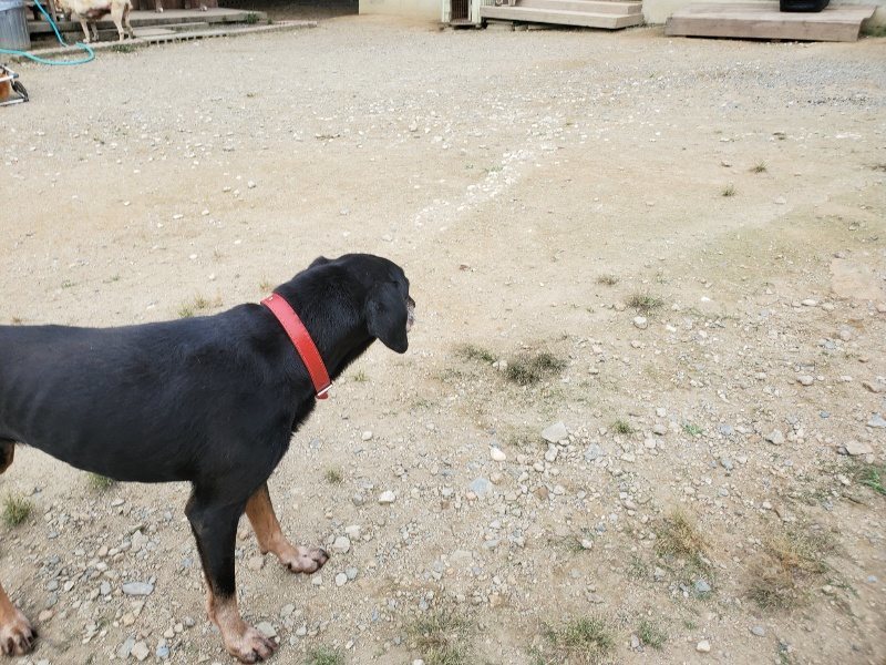 f:id:roukenhome-ann:20190930145005j:plain