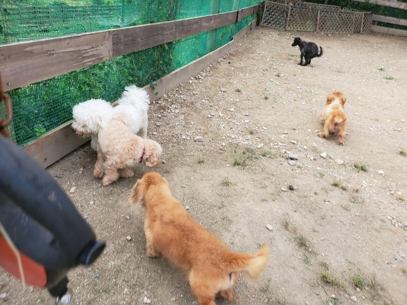 f:id:roukenhome-ann:20190930145029j:plain