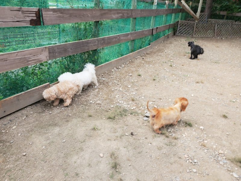 f:id:roukenhome-ann:20190930145036j:plain