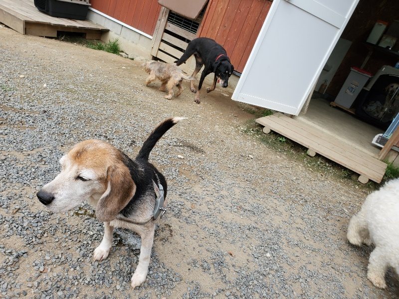 f:id:roukenhome-ann:20190930145104j:plain