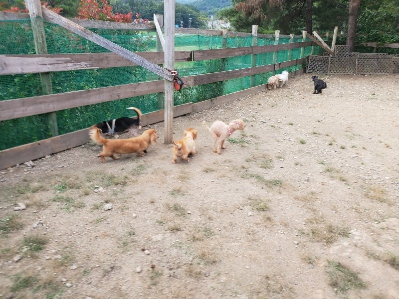 f:id:roukenhome-ann:20190930145130j:plain