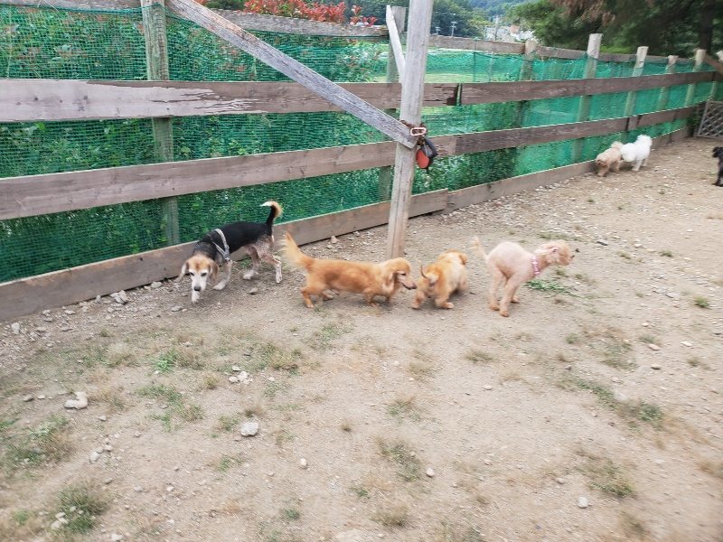 f:id:roukenhome-ann:20190930145138j:plain