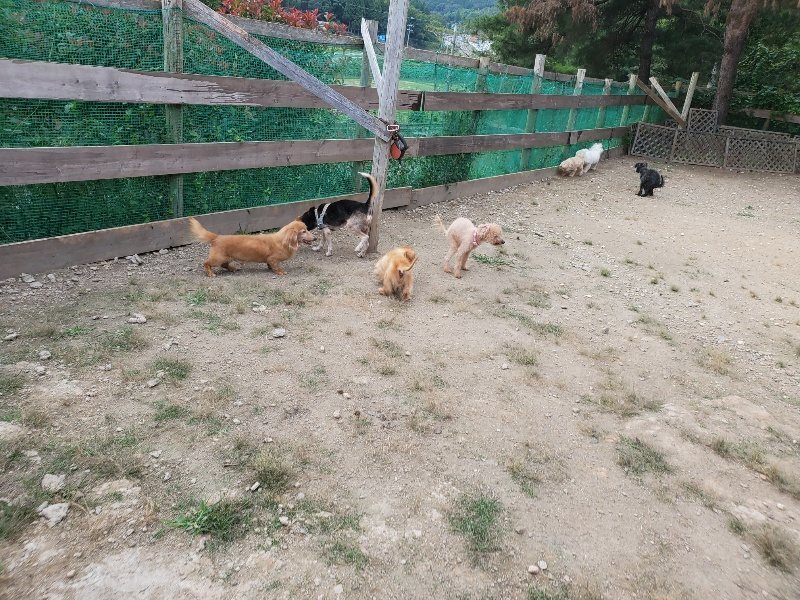 f:id:roukenhome-ann:20190930145148j:plain