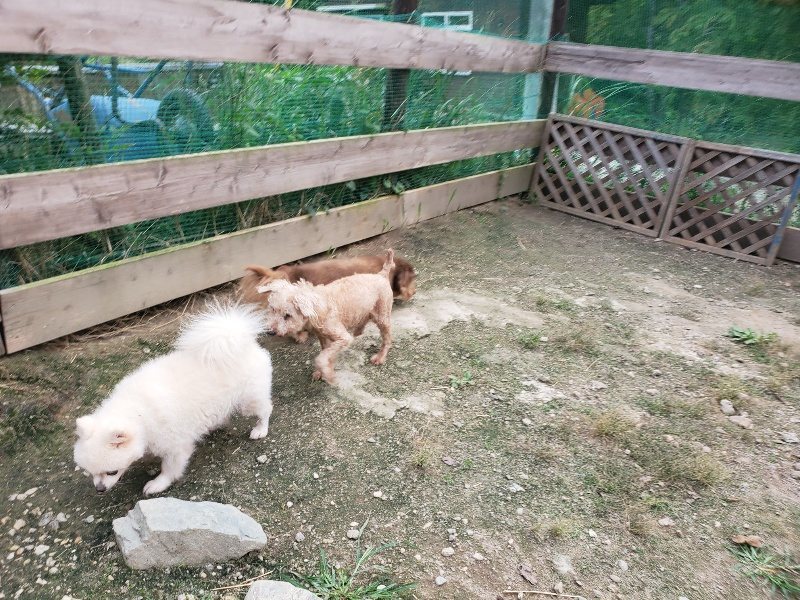 f:id:roukenhome-ann:20190930145154j:plain