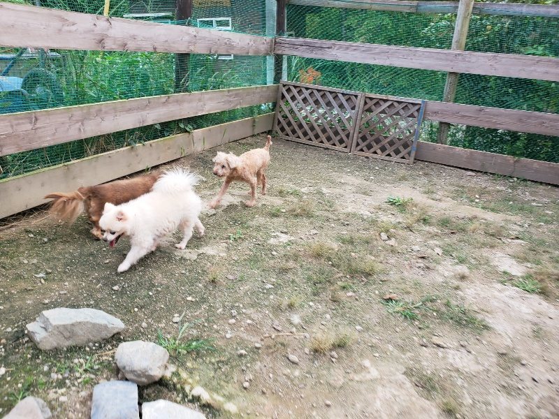 f:id:roukenhome-ann:20190930145200j:plain