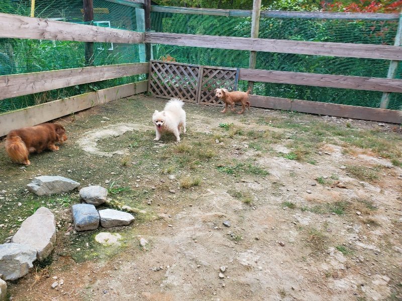f:id:roukenhome-ann:20190930145207j:plain