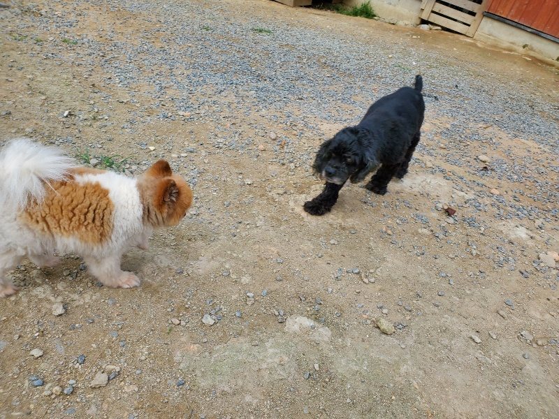 f:id:roukenhome-ann:20190930145214j:plain