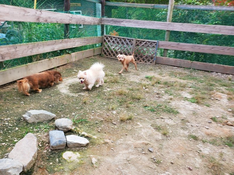 f:id:roukenhome-ann:20190930145221j:plain