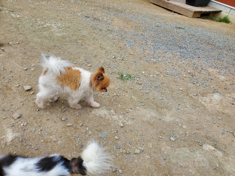 f:id:roukenhome-ann:20190930145236j:plain