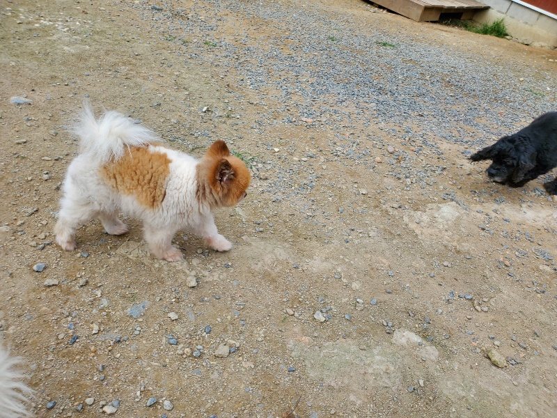 f:id:roukenhome-ann:20190930145242j:plain