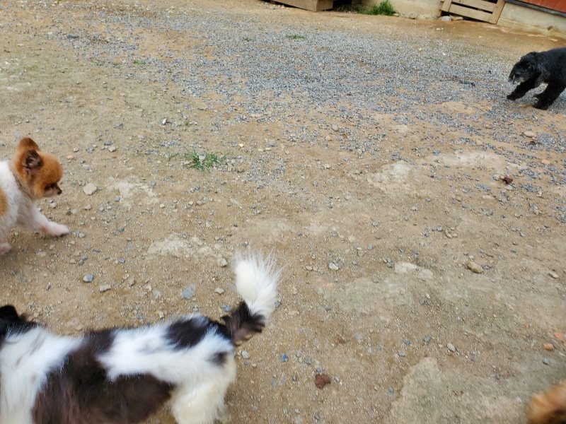 f:id:roukenhome-ann:20190930145248j:plain